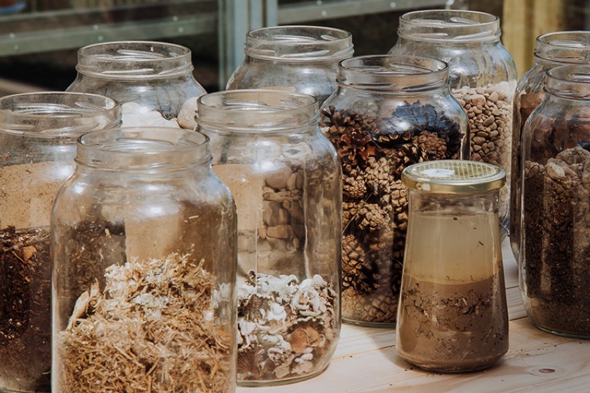 participativna znanost za mlade-photo