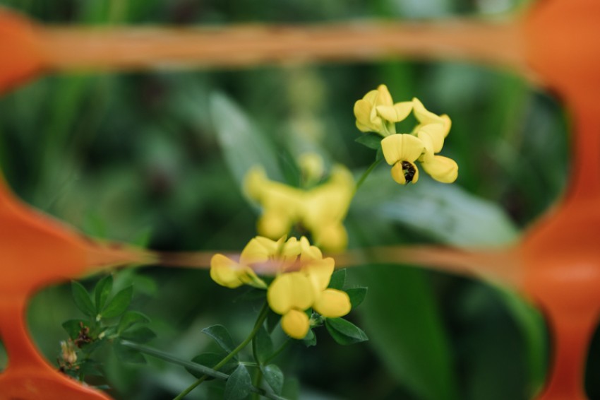 obrt vseživosti-photo