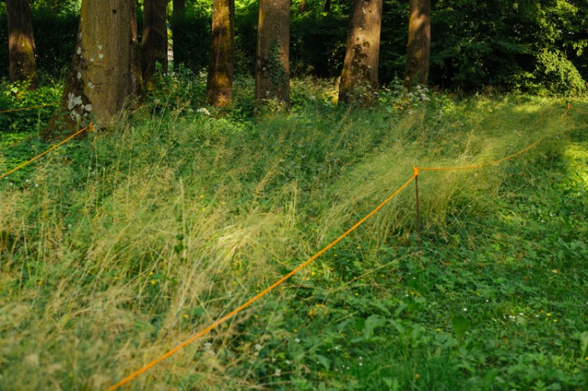 obrt vseživosti-photo