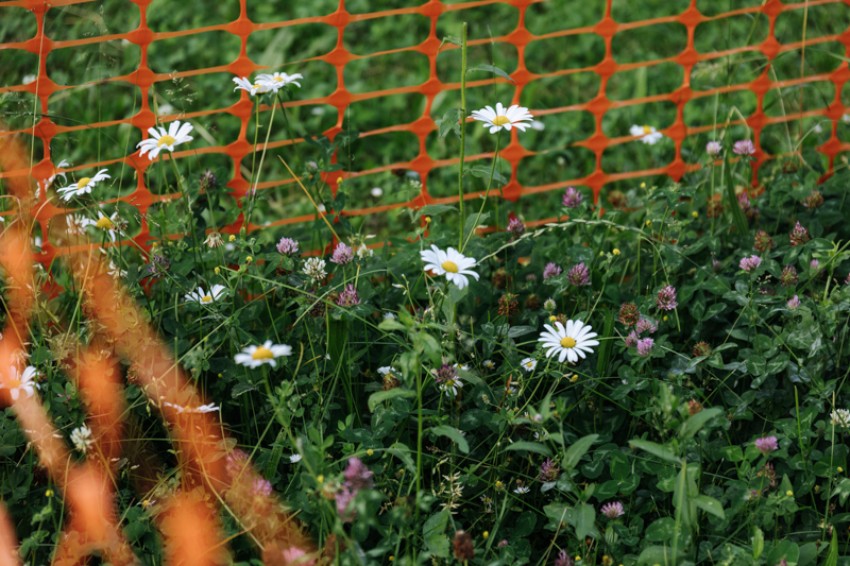obrt vseživosti-photo