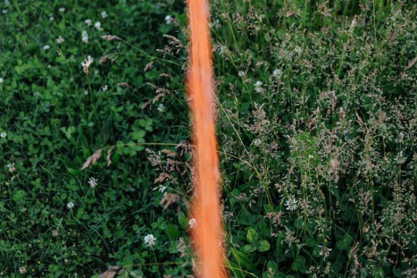 obrt vseživosti-photo