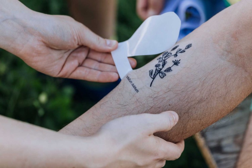 obrt vseživosti-photo